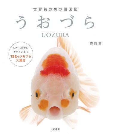 ちょっと笑える魚たちの真正面に釘付け 世界初の魚の顔図鑑 うおづら 発売 年8月19日 エキサイトニュース