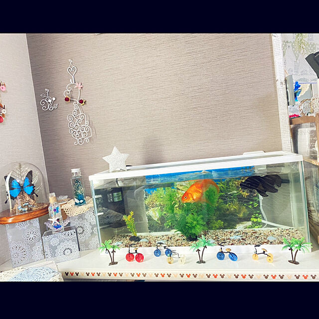 ポイント10倍 夏向けインテリア 金魚が泳いでいるデザイン 目から清涼感を 新品に近い綺麗品 置物