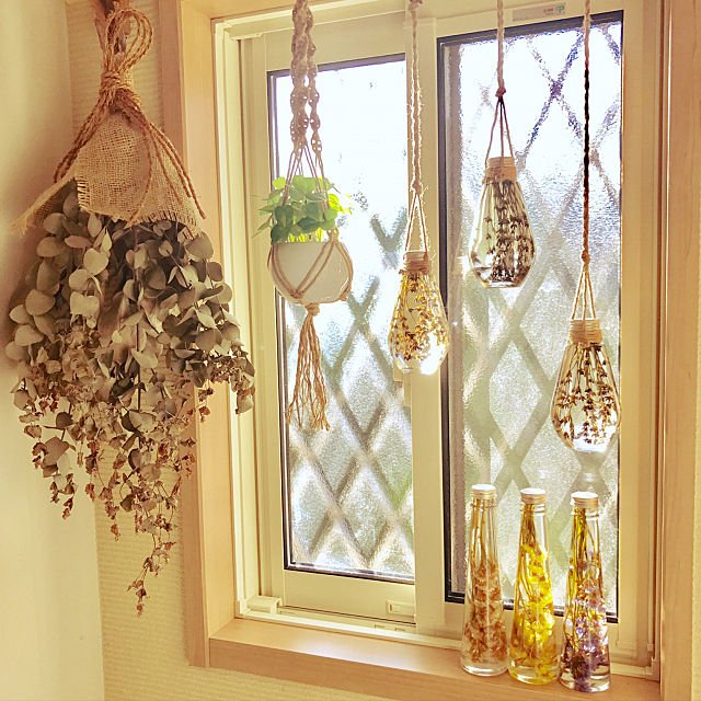 華やかで美しい植物標本 ハーバリウムでお部屋に癒やしを ローリエプレス