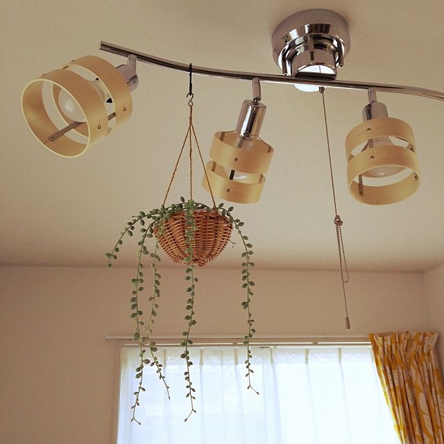 セリアのフェイクグリーンで 取り入れたいディスプレイ ローリエプレス セリアのフェイクグリーンで 取り入れたいディスプレイ ローリエプレス