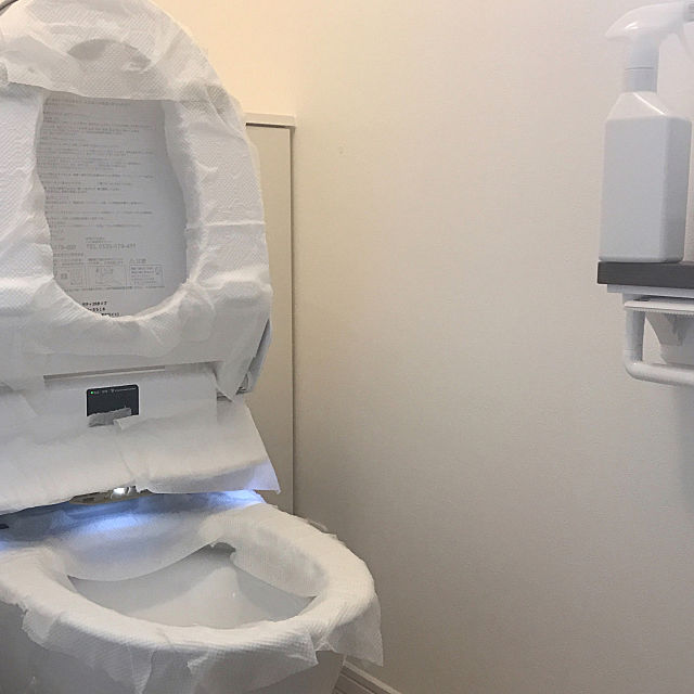 明日から実践 トイレ掃除がはかどる道具 アイディア ローリエプレス