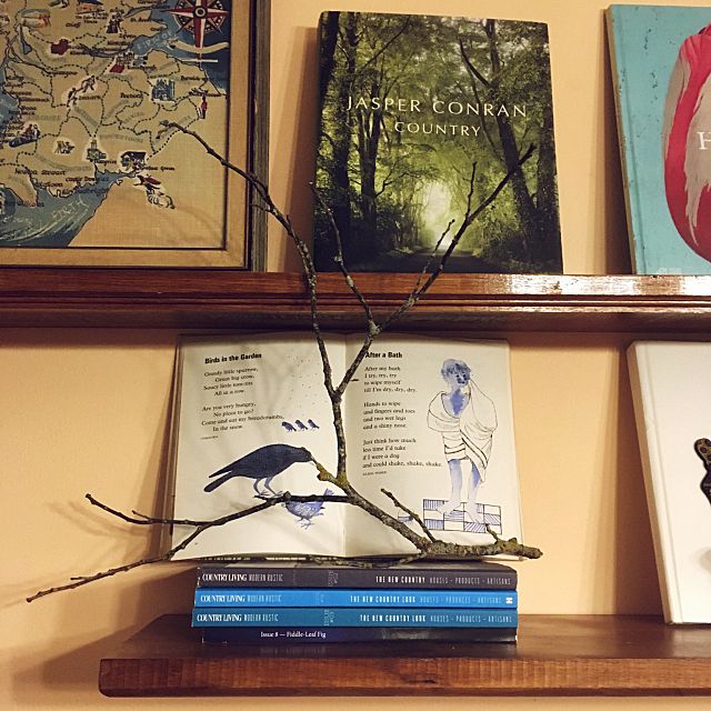 インテリアに趣きを 存在感を活かす枯れ枝ディスプレイ ローリエプレス