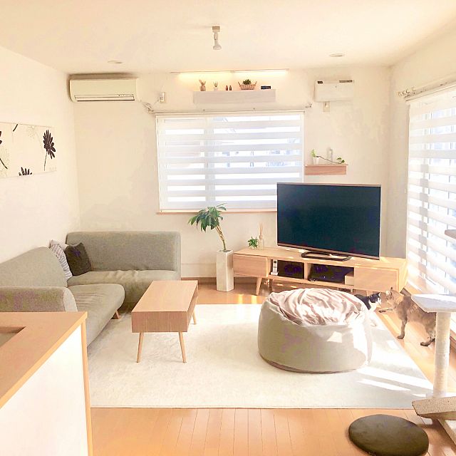 心地よいリビングに テレビ ソファのレイアウト実例集 ローリエプレス