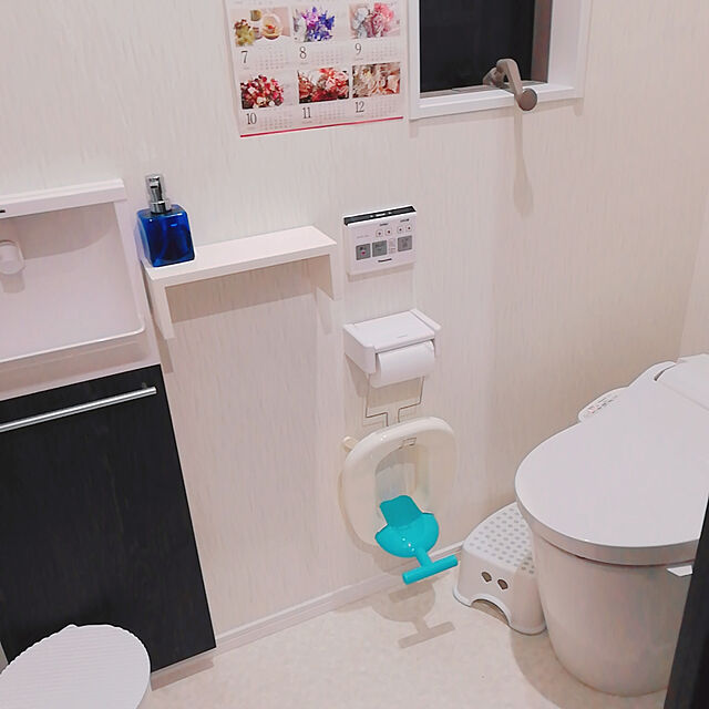 セリアで使いやすく便利に トイレの収納活用アイディア ローリエプレス