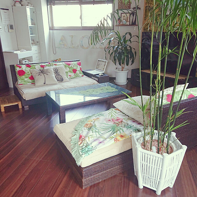 おうちで常夏気分を味わって トロピカル ハワイアンなインテリア ローリエプレス