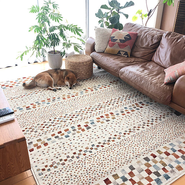 いろいろ選べるのが楽しい ニトリのラグを取り入れたリビングコーデ10選 ローリエプレス