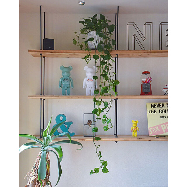 グリーンを取り入れるならまずはポトス 観葉植物初心者にもおすすめな理由 ローリエプレス