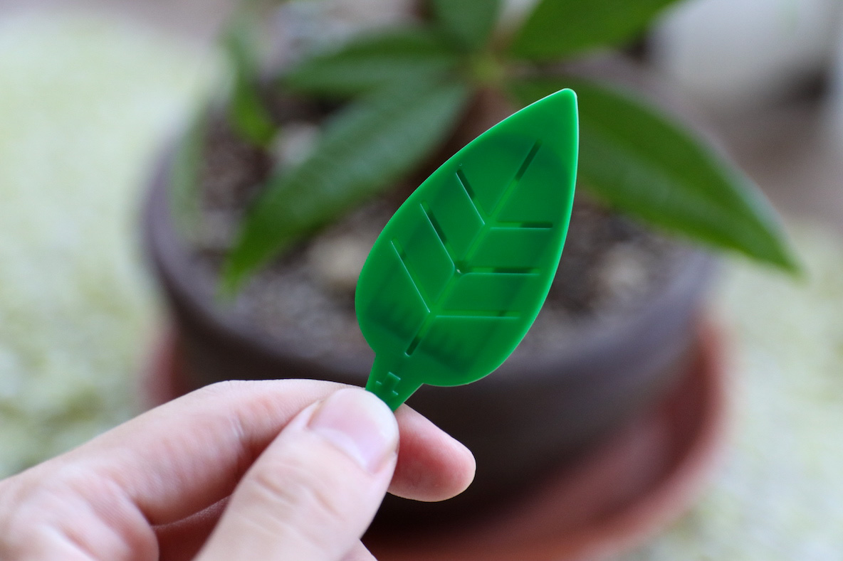 アース製薬の Botanice シリーズで 観葉植物に群がるコバエの退治に成功した マイ定番スタイル 21年7月23日 エキサイトニュース