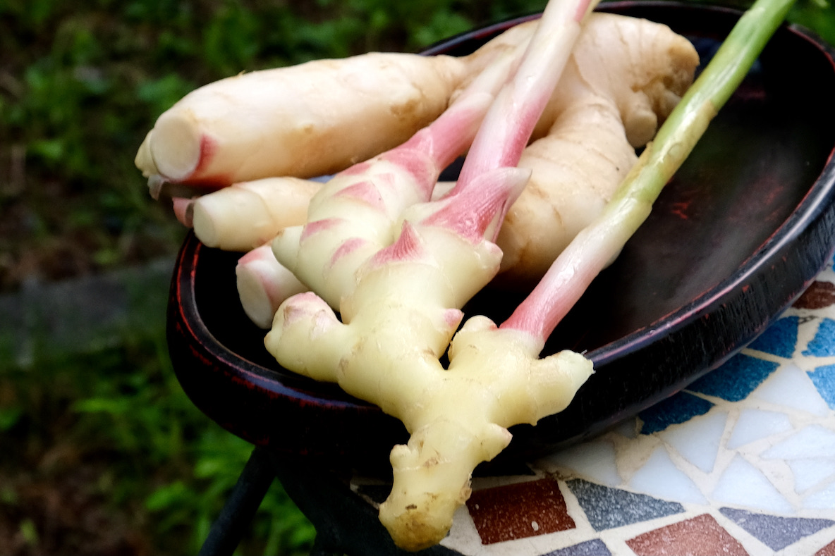 今年もジンジャーシロップ作りの季節がやってきたぞ 簡単で美味しい新生姜シロップの作り方 マイ定番スタイル 21年8月21日 エキサイトニュース