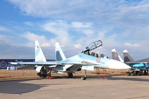 ｓｕ ３０ 戦闘機事故 インドでなぜ多い 鳥が多い 暑いからだ 下手だからだ 中国メディア 15年6月10日 エキサイトニュース