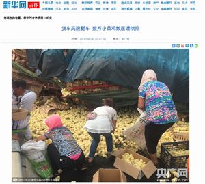 高速道路で ひよこ競走 お約束 の光景 数万羽を積んだトラック横転して周辺住民 いただこう それっ 中国 15年8月30日 エキサイトニュース