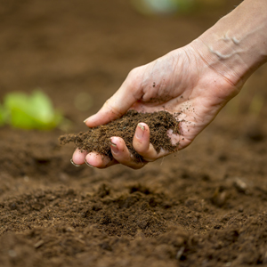 中国人は誰も気づかなかった「日本企業が中国で借りた土地を“わざと放置”し続けた理由」