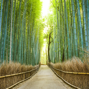 日本を訪れると心が落ち着く 中国人が日本旅行にハマる理由 中国報道 17年7月29日 エキサイトニュース