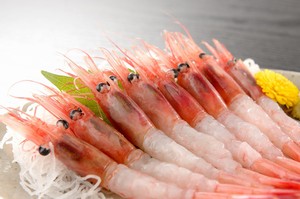 日本人はどうして安心して生の魚が食べられるのか 中国メディア 年7月28日 エキサイトニュース