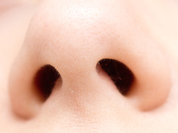 鼻の穴が大きい人は浮気バレに注意 1万人鑑定してきた占い師による 人相学 テスト ローリエプレス