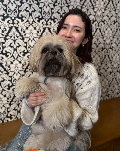 シーズー（立ちポーズ） シーズー犬ぽんずブログ シーズー（立ちポーズ