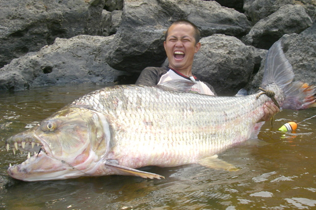 世界で釣り上げた巨大魚は５０種以上 怪魚ハンターが狙う 次の獲物は 17年4月12日 エキサイトニュース