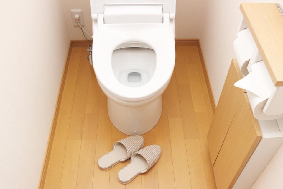 トイレのフタを閉めない 妻がいくら注意しても効果なしの理由 年1月5日 エキサイトニュース
