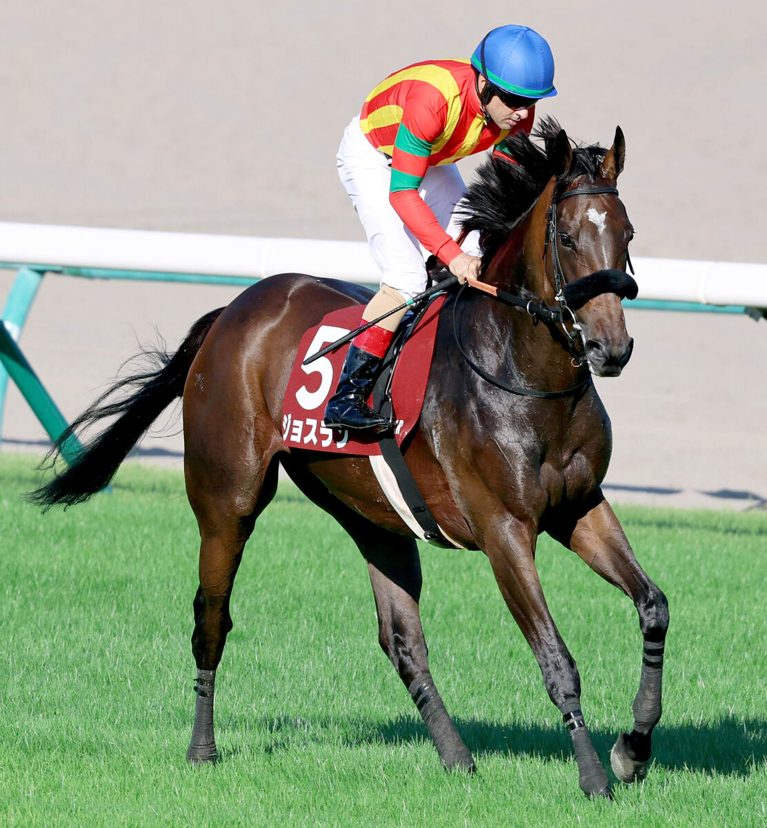 JRA 京都競馬場 100周年 オリジナル三冠馬ッジ リアル！佐々木蔵之介