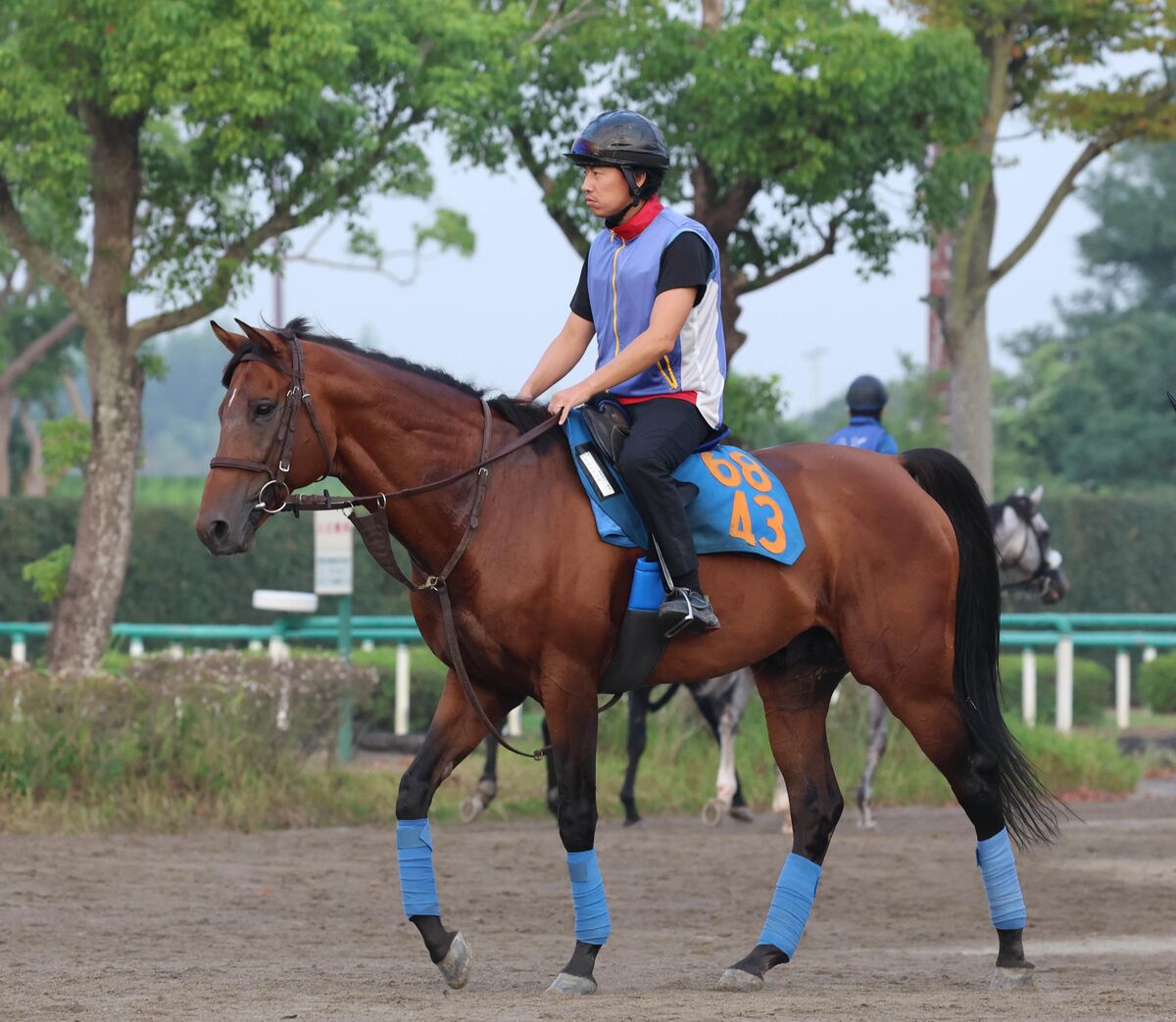 レア　かみのやま競馬マッチ　2つ レア かみのやま競馬マッチ 2つ レア かみのやま競馬マッチ 2つ