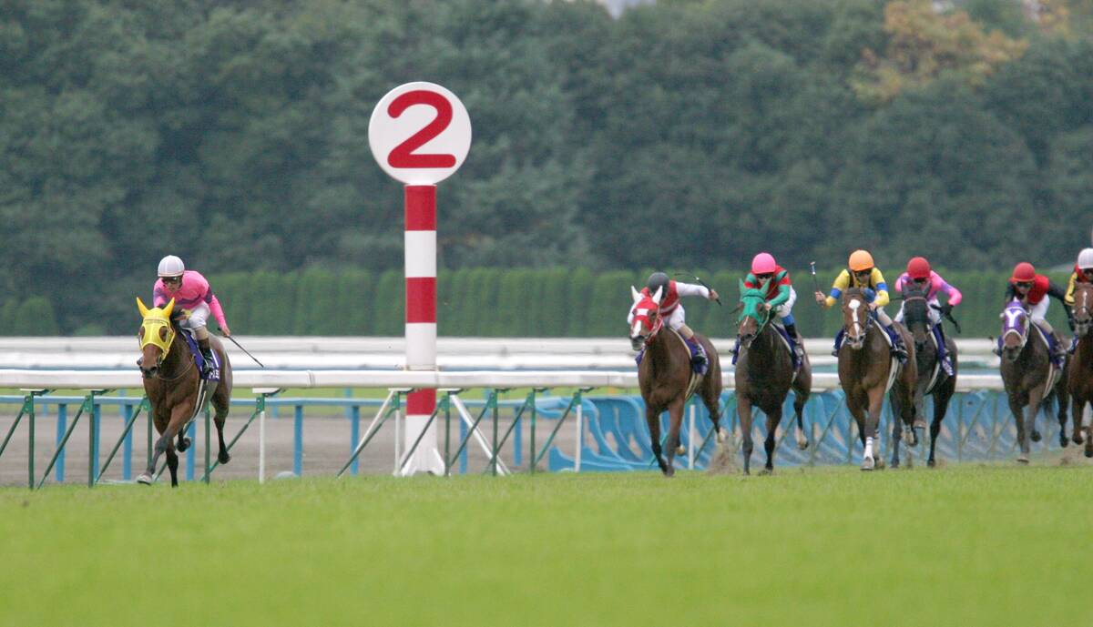 観衆がどよめくほどの大逃げ」オースミハルカVSスイープトウショウの鬼