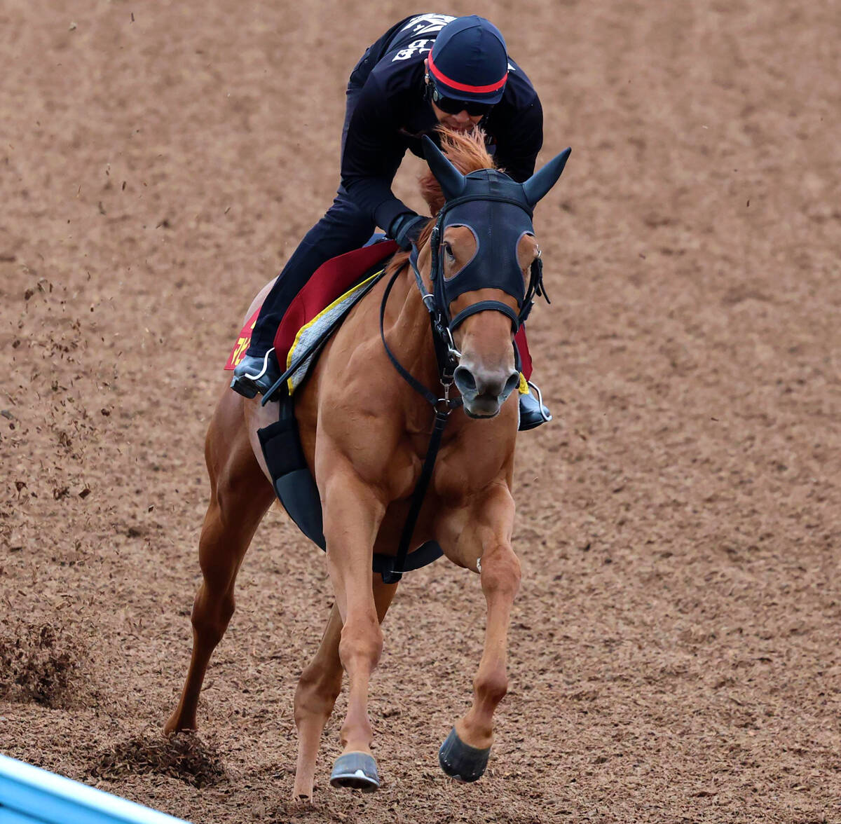 日曜京都競馬場の注目激走馬…京都11R秋華賞・G1 (2025年10