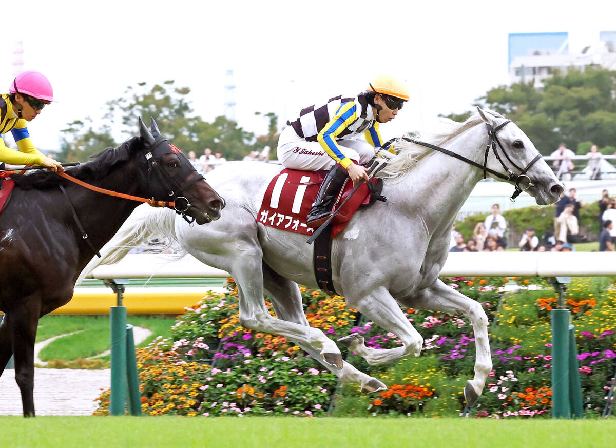 エフフォーリア 横山武　ホースレーシングカード　ホログラム　世界限定　ラスト1枚 エフフォーリア 横山武 ホースレーシングカード ホログラム 世界