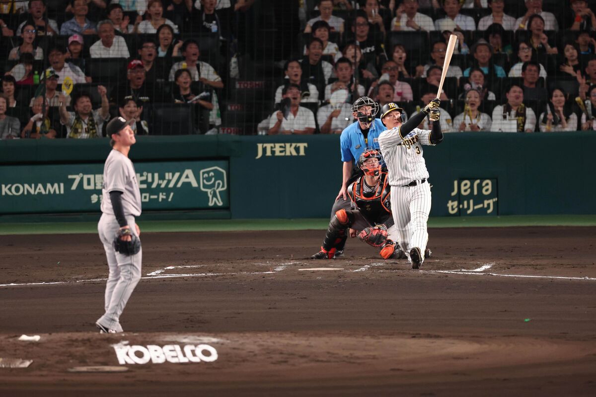 阪神】大山悠輔が甲子園１００周年“前祝い” ２戦連続の９号３ラン「最高の結果になってくれた」 (2024年7月30日) - エキサイトニュース