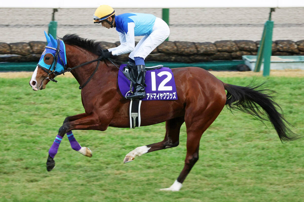 2025年 朝日杯フューチュリティーステークス アドマイヤズーム ポスター 2025年 朝日杯フューチュリティーステークス アドマイヤズーム