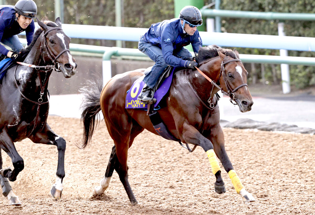 天皇賞・秋】重賞連勝馬がルメール騎手を背に一番時計＆自己ベスト！名手２週連続騎乗で課題あぶり出し修正 (2024年10月24日) - エキサイトニュース