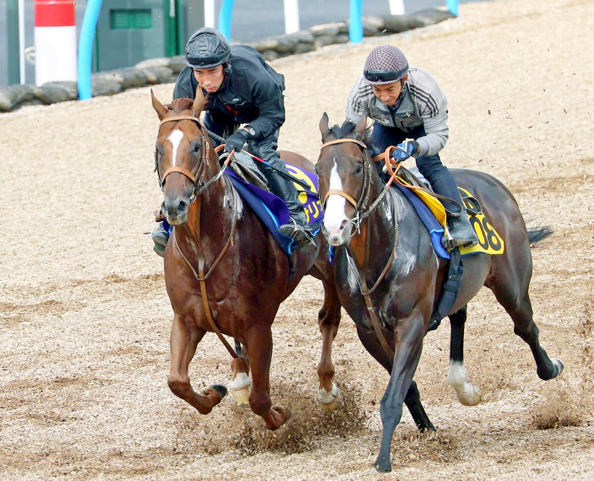 戻って来い 池江 過去に病魔と闘ってきた選手 著名人たち 19年2月16日 エキサイトニュース