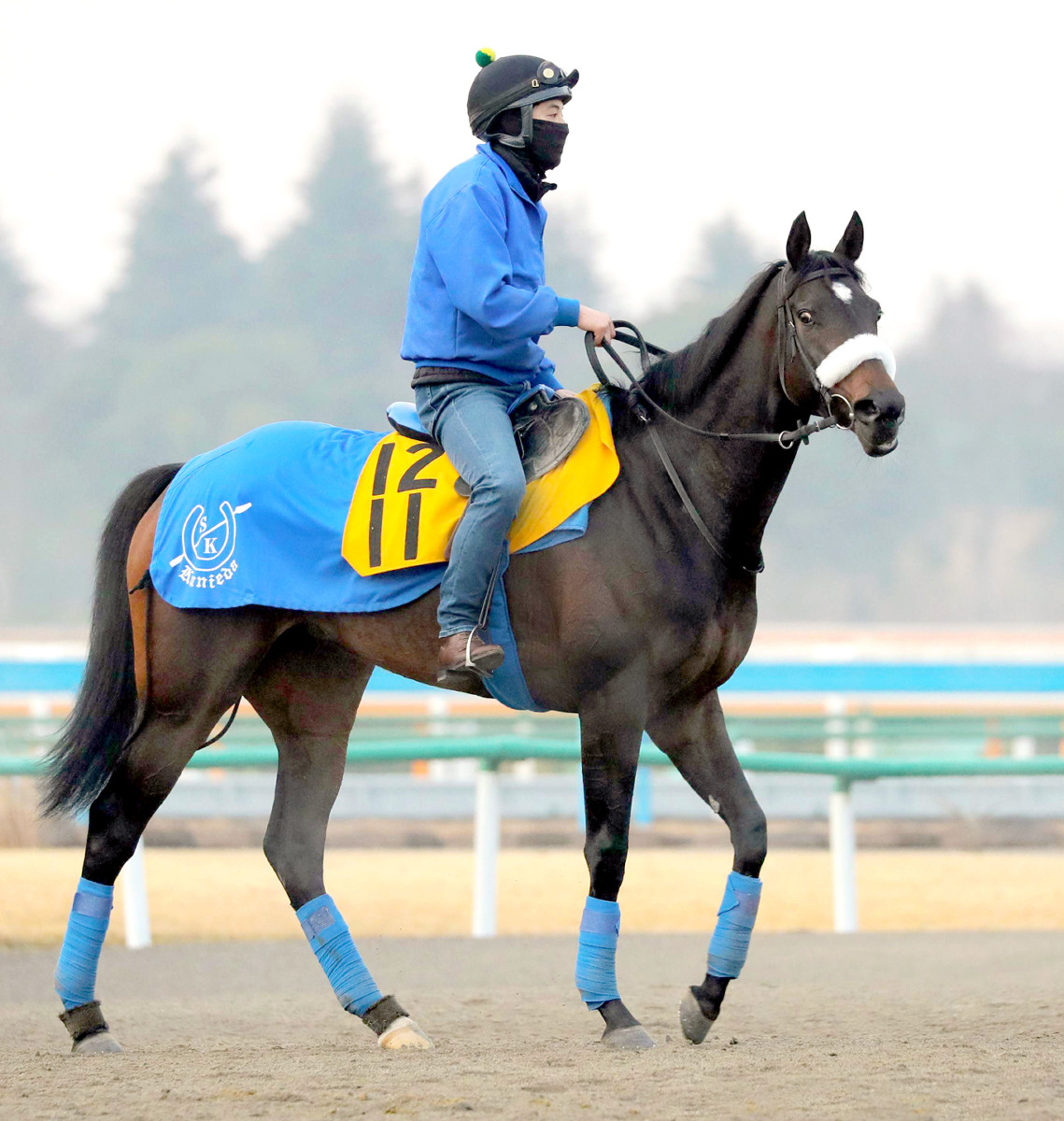 【福島牝馬S】良血ドナアトラエンテ好仕上がり 国枝師「早く ...