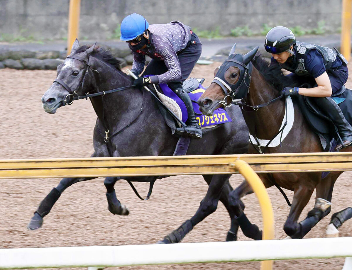 【宝塚記念】クロノジェネシスまだまだ進化 10キロ増の有馬 ...