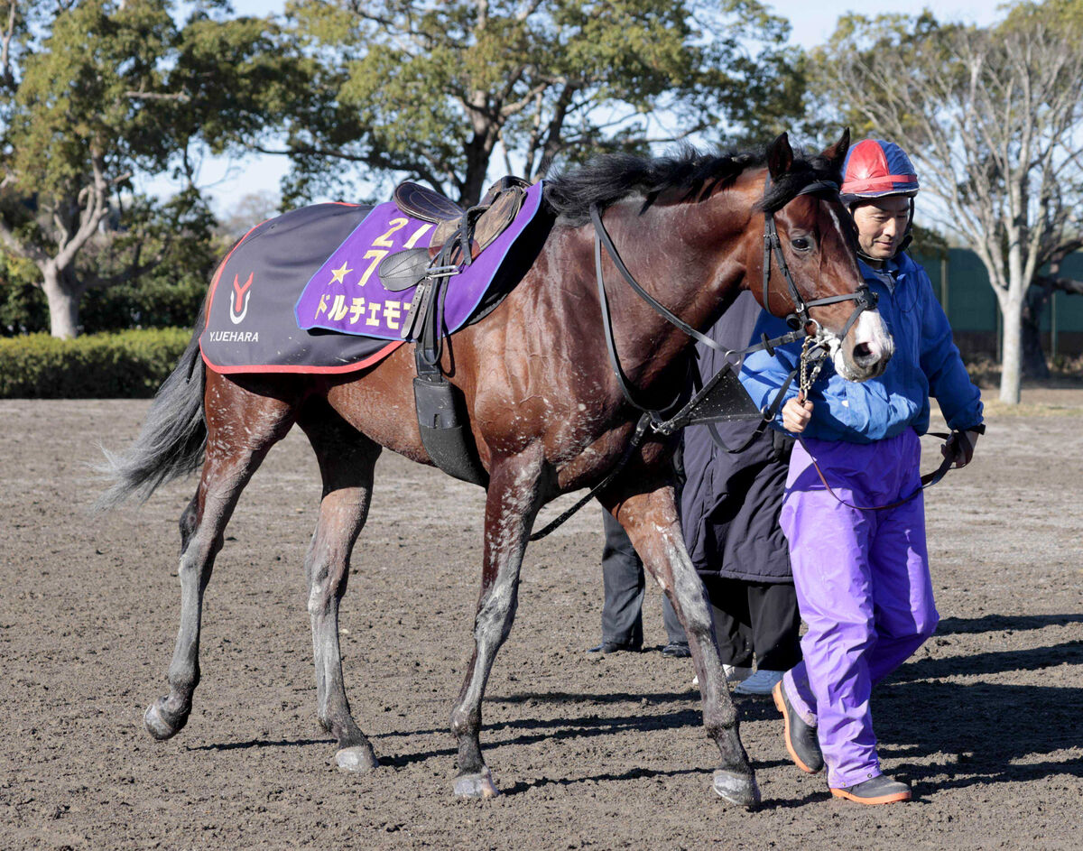 Ｇ１馬ドルチェモアがＪＲＡの競走馬登録を抹消 今後は大井競馬へ移籍予定 (2024年11月14日) - エキサイトニュース