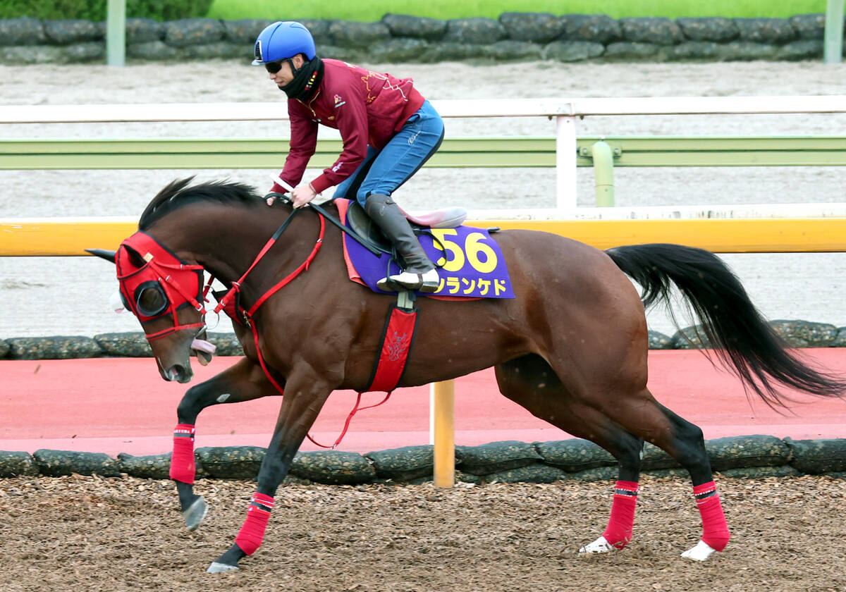 競馬　G1秋華賞2022 記念ブルゾン　ジャンパー　黒/オレンジ L 非売品 競馬 G1秋華賞2022 記念ブルゾン ジャンパー 黒/オレンジ L