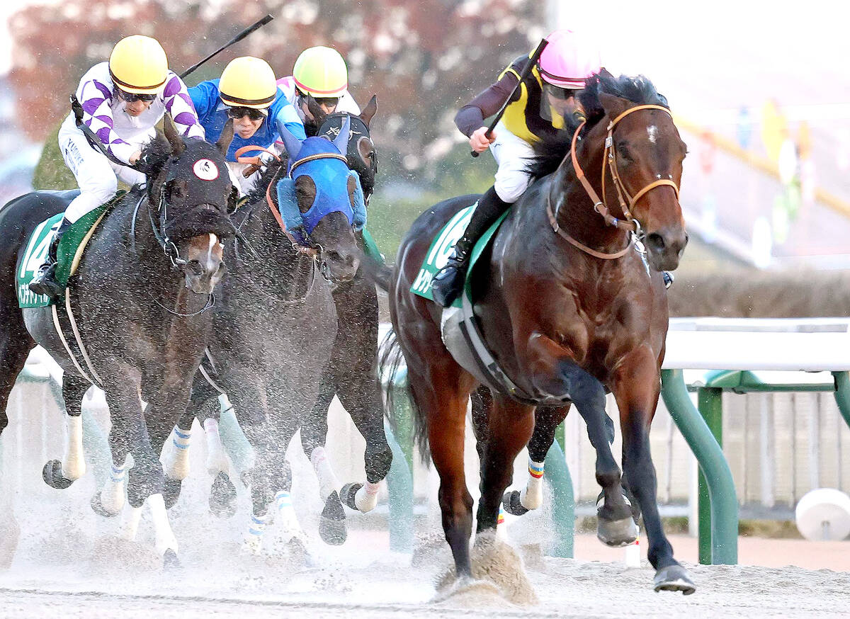 トップナイフ 競馬 ミニゼッケン クラシック3点セット トップナイフ