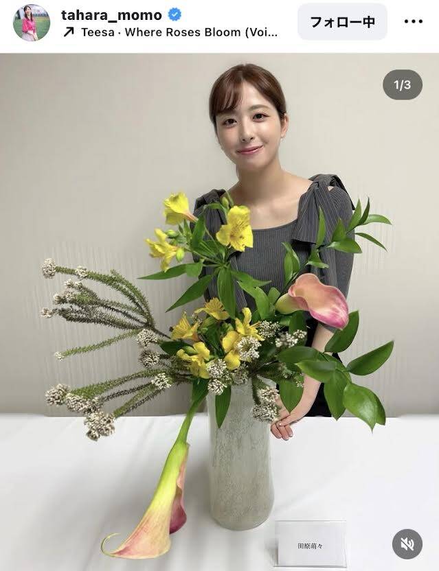 田原萌々アナが生け花に挑戦！美しき作品と反響