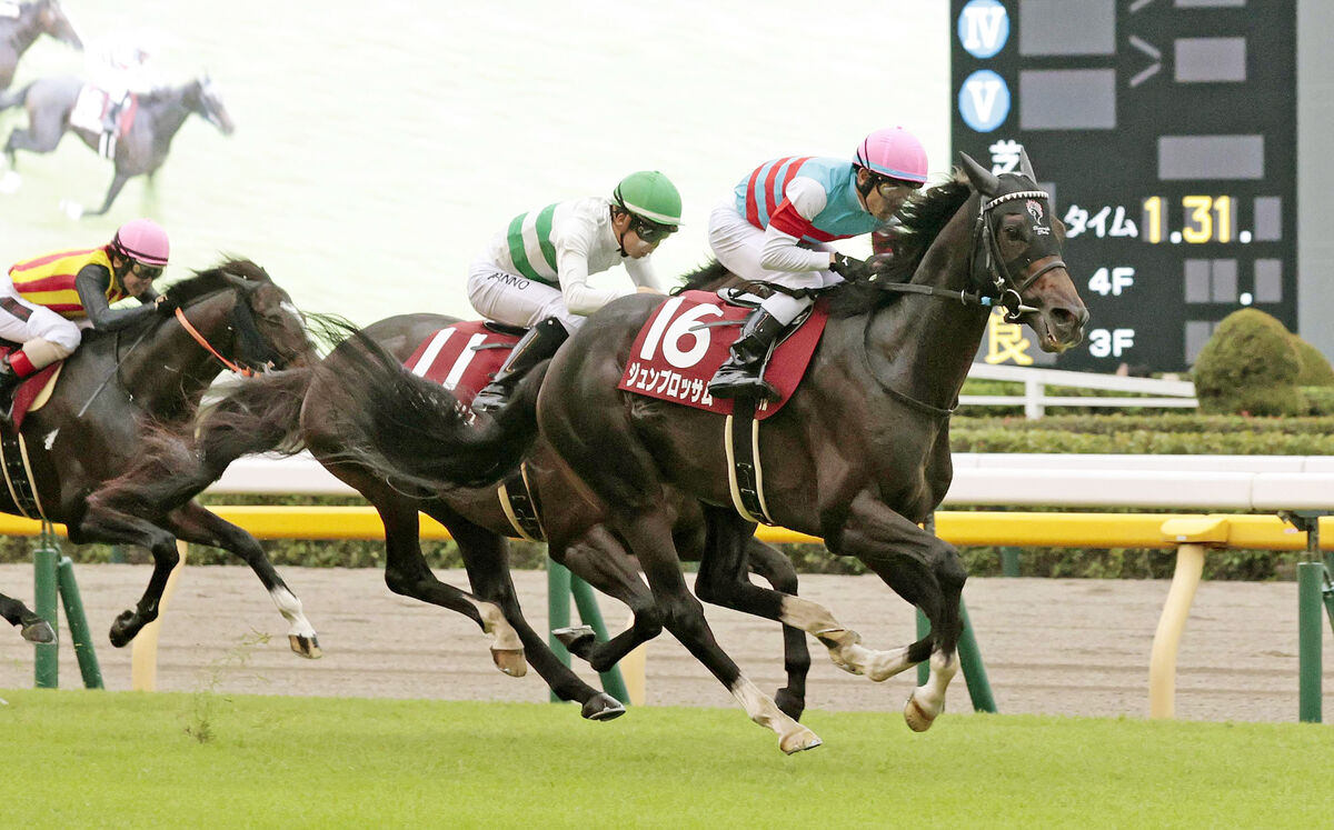 富士Ｓ】末脚自慢の５歳馬がＧ１常連をねじ伏せ重賞初制覇 次戦マイルＣＳへ戸崎騎手も「楽しみ」 (2024年10月20日) - エキサイトニュース