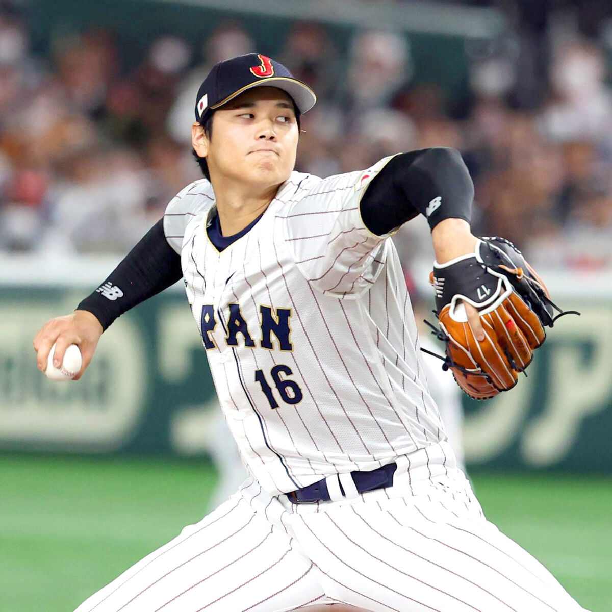 即納特典付き 大谷翔平選手L判写真5枚 wbc 侍ジャパン aob.adv.br