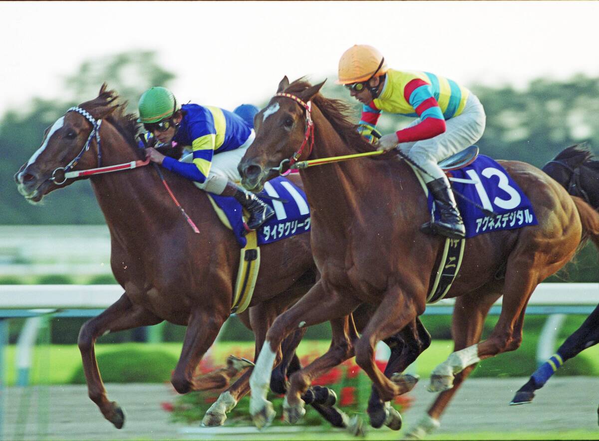 アグネスデジタル他17頭　00年 マイルCS　現地的中単勝馬券　人気薄・貴重 アグネスデジタル他17頭 00年 マイルCS 現地的中単勝馬券 人気薄・