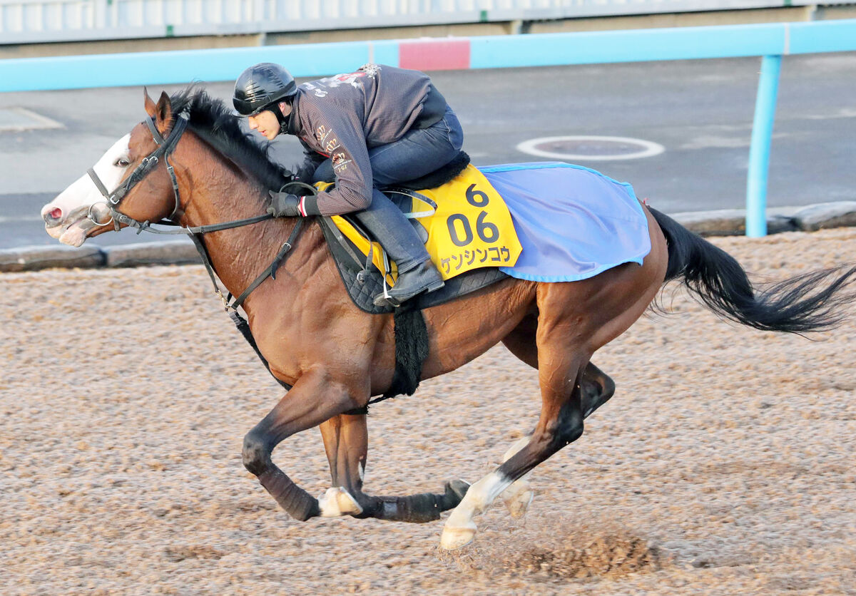 注目馬動向 吾妻小富士ｓ４着のケンシンコウはジュライｓ連覇狙う 22年5月5日 エキサイトニュース
