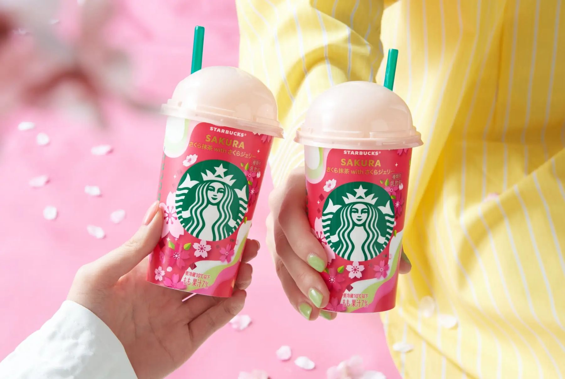 Starbucks スターバックス　さくらピクニックセット Starbucks スターバックス さくらピクニックセット