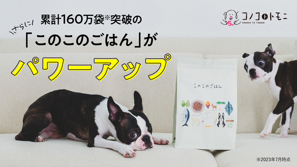 このこのごはん ドッグフード 1キロ✖️3個 コノコトトモニこのこの