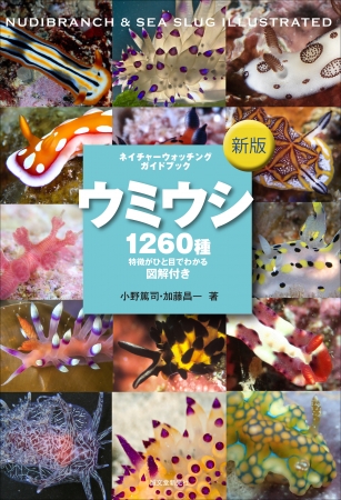 国内1260種のウミウシを収録 イラスト解説付きの図鑑 新版 ウミウシ 年6月13日 エキサイトニュース