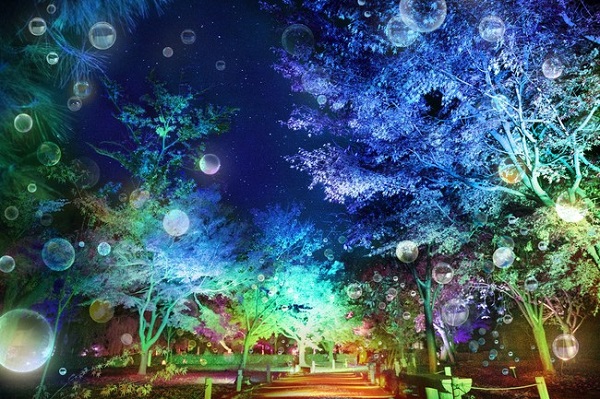 ソーシャルディスタンスを参加型アートに 二条城夏季特別ライトアップ開催 年8月7日 エキサイトニュース