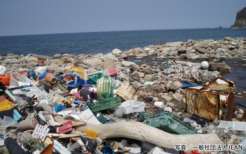 日本は「プラスチック大国」。海洋プラスチックごみは本当は何が問題なのか？ 最新事情を聞いてみた (2021年6月29日) - Vimarsana News