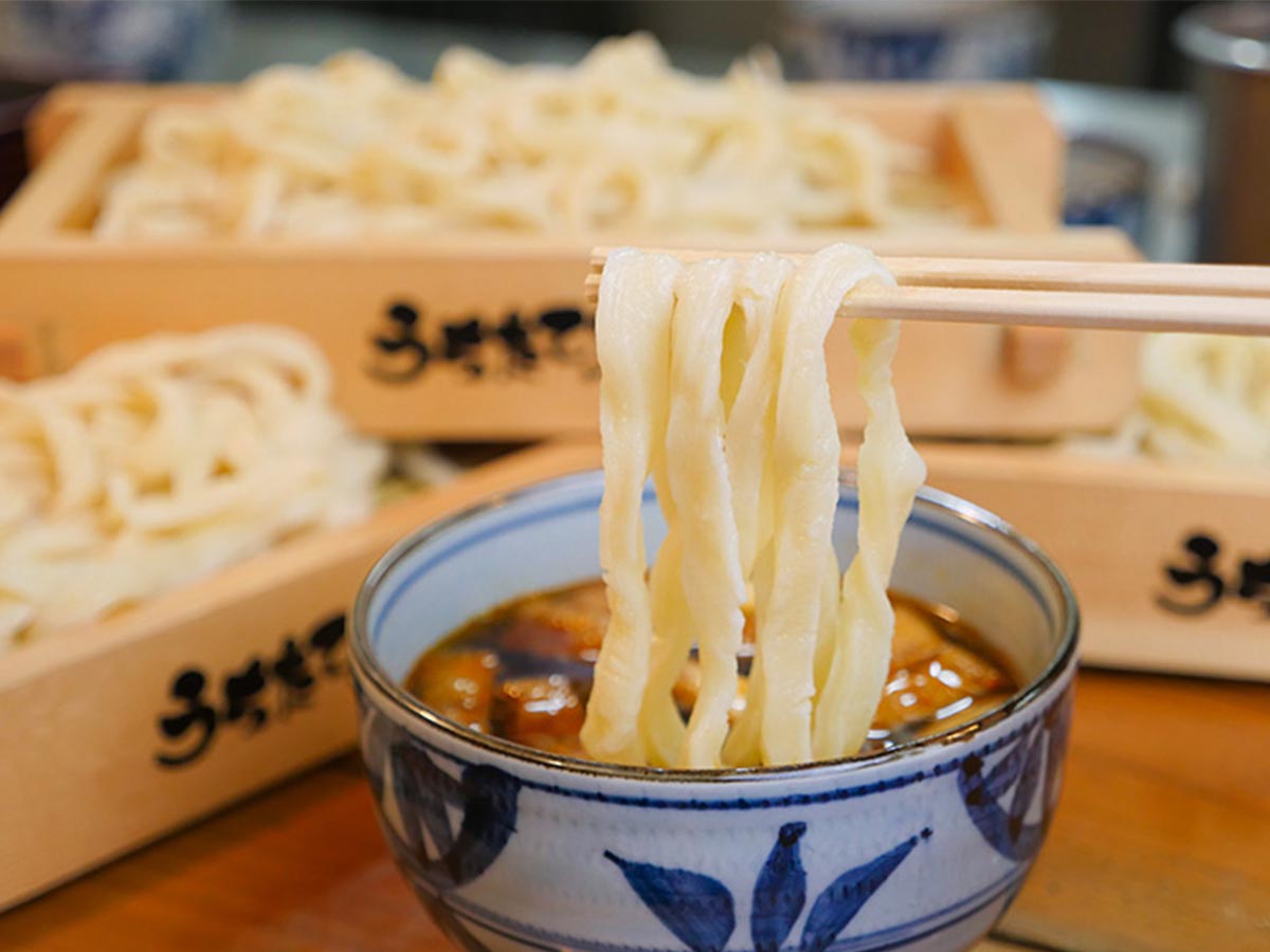 コシの強いうどんです 韓風 さっぱりしたのどごしが特徴の生冷麺 みちのくうどん200g×60食入 アオキ コシの強さと 和風どちらでも旨い おトク  和風どちらでも旨い