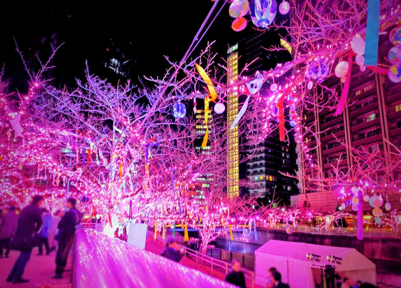 使用済み食用油が“39万個の桜”を輝かす「目黒川みんなの