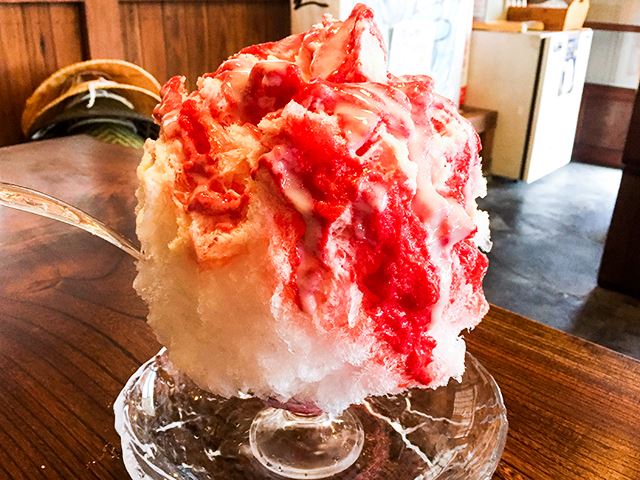 伊勢原・大山】顔より大きいジャンボかき氷は山に行かないと食べられ