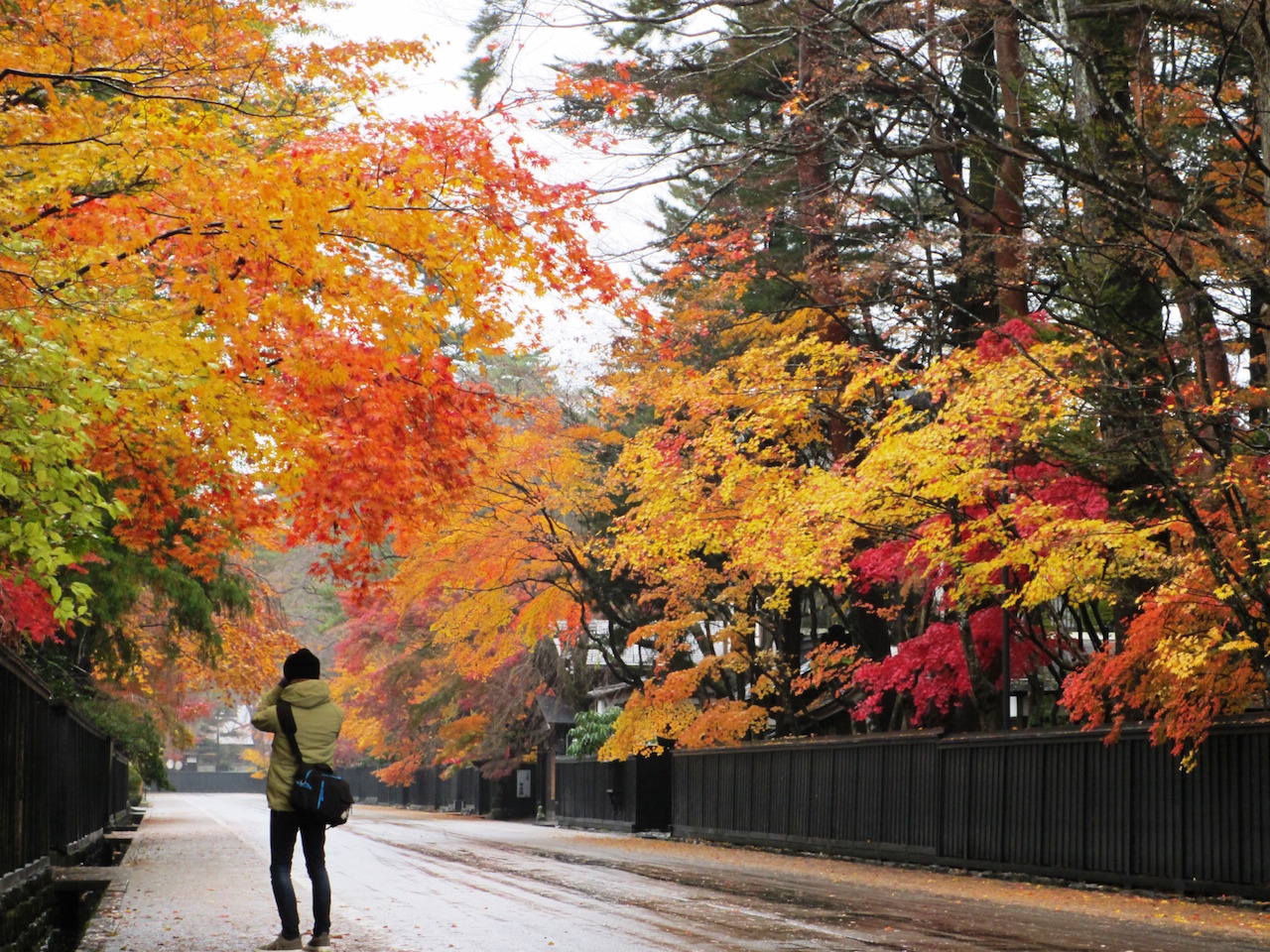 全国紅葉の絶景 秋田美人のように美しい 秋田県の紅葉人気スポット 19年9月14日 エキサイトニュース